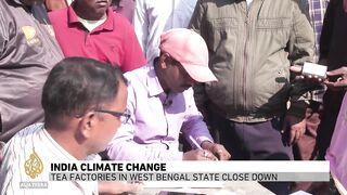 India climate change_ Tea factories in west Bengal state close down.