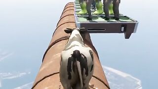 Amazing video viral short circus interested and awesome video