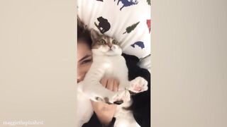 Catch the thief! ???? Cat and Human moments for a good mood! #FunnyCats2024 #cats #funnycat #catvideo  #cat2024  #catslover #kidsvideo  # Kids