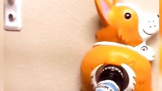 Amazing video