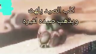 لن تندم