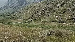 Greenery of Pakistan