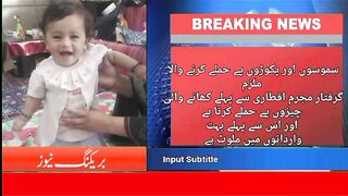 So funny video-