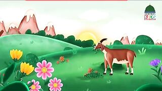 بچوں کی نظمیں اور دعاٸیں نرمی کی فاٸدہ