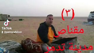 المقناص بادية تدمر
