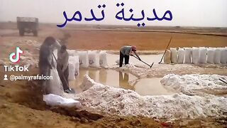 سبخة الموح مدينة تدمر