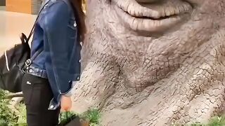 The World Everything Amazing | Episode 41 | 2024 |