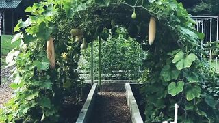Home garden