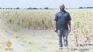 South African farmer Pete Mutepu grapples with financial troubles amid severe drought.