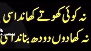 Punjabi is Punjabi post 2024 #$%