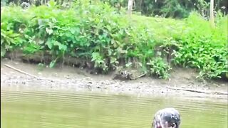 Fun With a bathing People