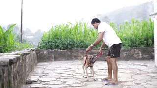 Reasons to talk to you dog daily.