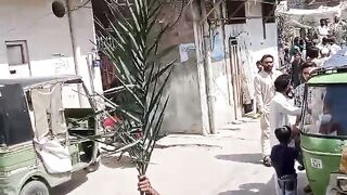 Palm Sunday