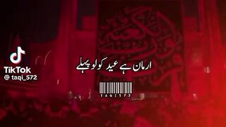 Zarbat mola Ali a.s status