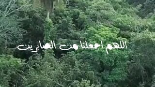 دهاء جميل