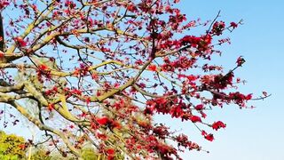 The beauty of nature