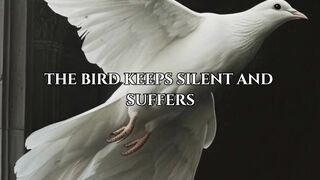 Misunderstood Sympathy.....