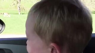 TRY NOT TO LAUGH ????????????