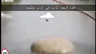 قصة النملة