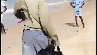 #today funny videos clips