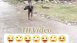 Funny
