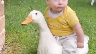 Funny video