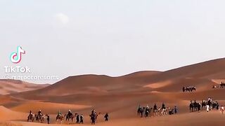 Sahara❤️