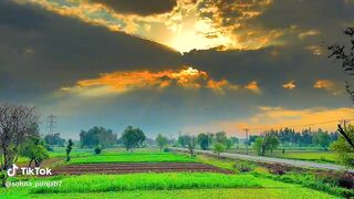 So beautifull vidoe like and following my channel