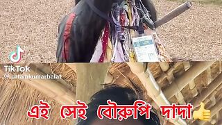 সেই কিক টাকার