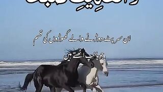 Quran
