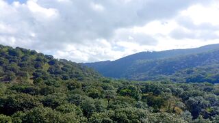 beautiful fly scene Desi lvogs