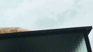 کہا ہیں آپ ؟