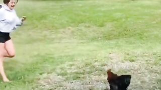 Funny pet