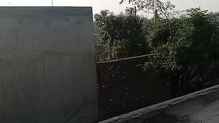 Funny videos