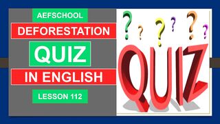 Deforestation Quiz in English