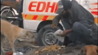 ALLHA zror pochy ga