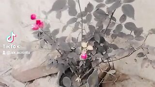 খুব আশা নিয়ে ছিলাম