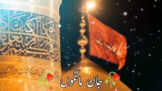 Every time belongs to Hazrat Imam Hussain AS. (ہر زمانہ میرے حسین علیہ السلام کا ہے)