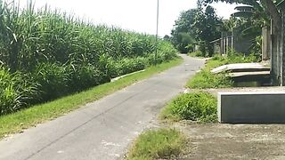 The view of the rice fields stretching out is very beautiful, decorated with a small river that is soothing to the heart