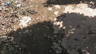 green plants that decorate houses in the village