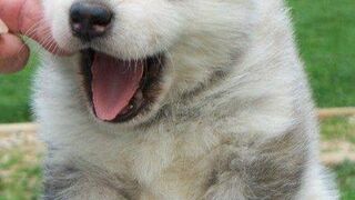 So cute