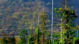 so beautiful place Islamabad watch til the end