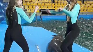 Funny fight grils