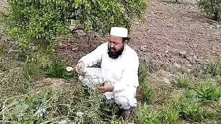 Funny video