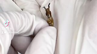 سبحان الله