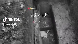 مٹی دے لوکی ربا