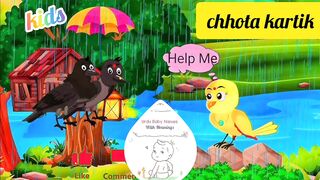 Good video's
