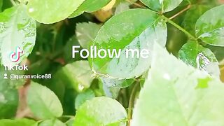 Follow me