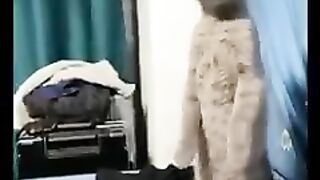 Funny cats and dogs ????