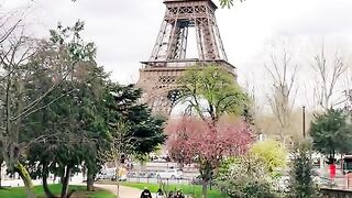 Apple tower France